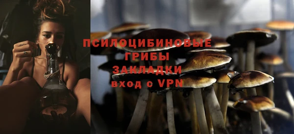 стаф Балахна