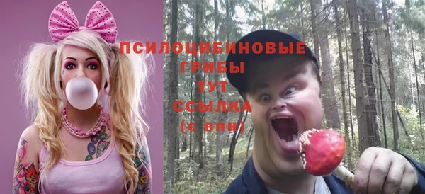 стаф Балахна